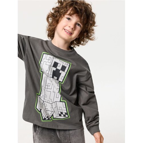 Sinsay Pamučna majica s okruglim izrezom i tiskom Minecraft Slike