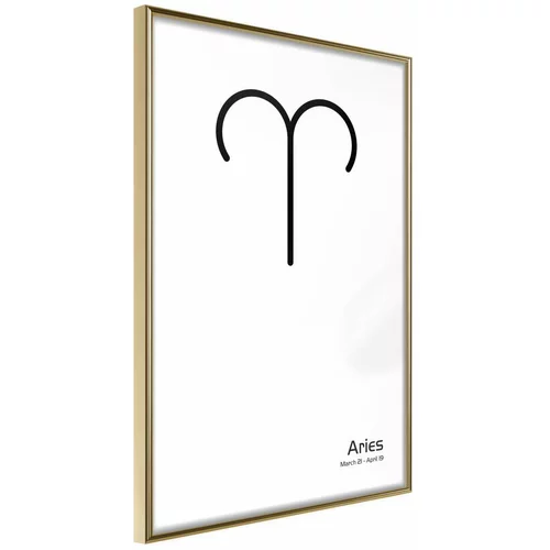  Poster - Zodiac: Aries II 20x30