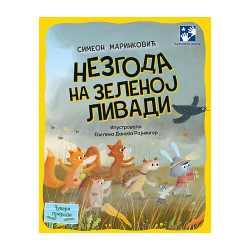 Kreativni Centar Nezgoda na Zelenoj livadi Slike
