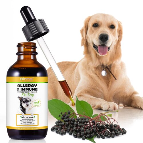 Oimmal Allergy and Immune sirup 60 ml Cene