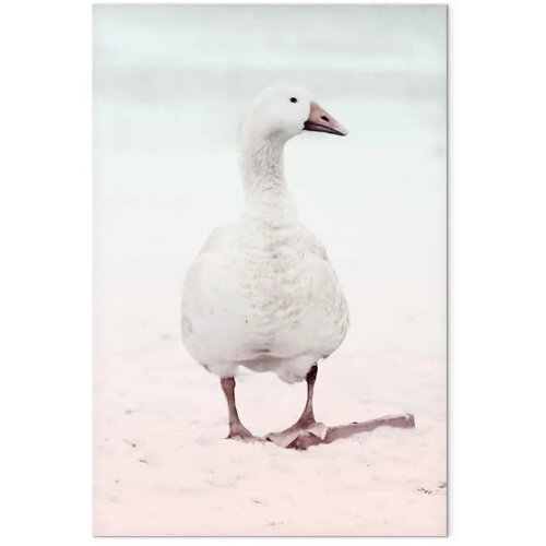  Slika - Winter Duck (1 Part) Vertical 40x60 Standard Slike