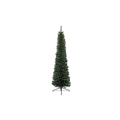  jelka pencil pine, visina 300cm (68.0064) Cene