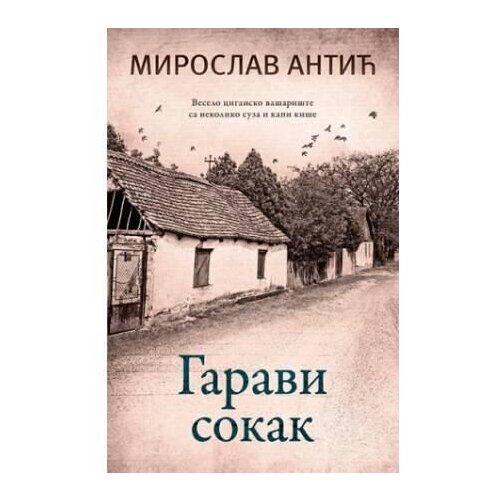 Laguna Garavi sokak - Miroslav Antić Slike