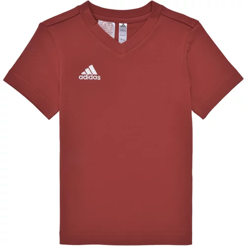 Adidas Majice s kratkimi rokavi ENT22 TEE Y Rdeča