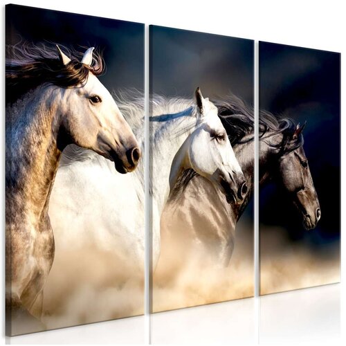  Slika - Sons of the Wind (3 Parts) 90x60 Slike
