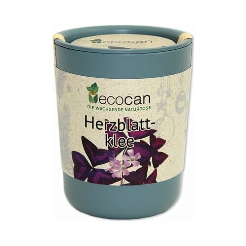 Feel Green ecocan "detelja s srčnimi listi" Cene