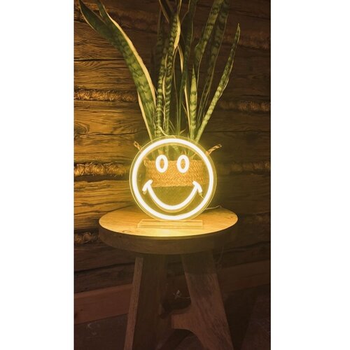 2Kids Toys LED neonska stona dekoracija LED/5W/USB smajlić Slike