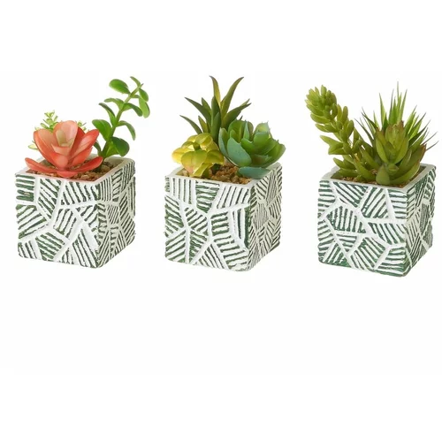 Casa Selección Umetne rastline v kompletu 3 ks Cactus – Casa Selección