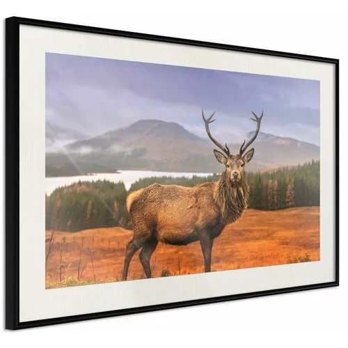 Poster - Majestic Deer 30x20