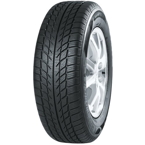 West Lake zimska guma 175/70R13PR SW608 82T UL Cene