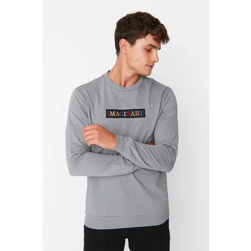 Trendyol Gray Men's Regular Fit Crew Neck Long Sleeved Sweatshirt