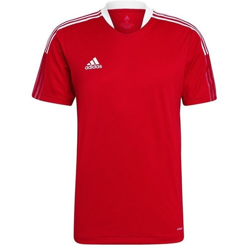 Adidas Majice s kratkimi rokavi Tiro 21 Rdeča Cene