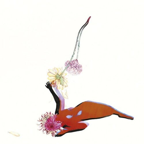 POSNETI MEDIJI FUTURE ISLANDS - THE FAR FIELD, (21008864) Cene