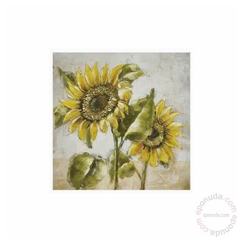 Biva slika suncokret 60x60 cm sortirano Slike