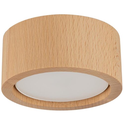  Reflektorska svetiljka EVE 1xGX53/11W/230V bukva Cene