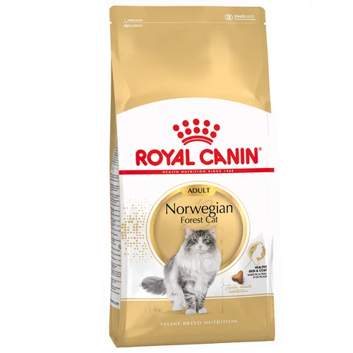 Royal Canin Breed Norwegian Forest Cat Adult - 10 kg