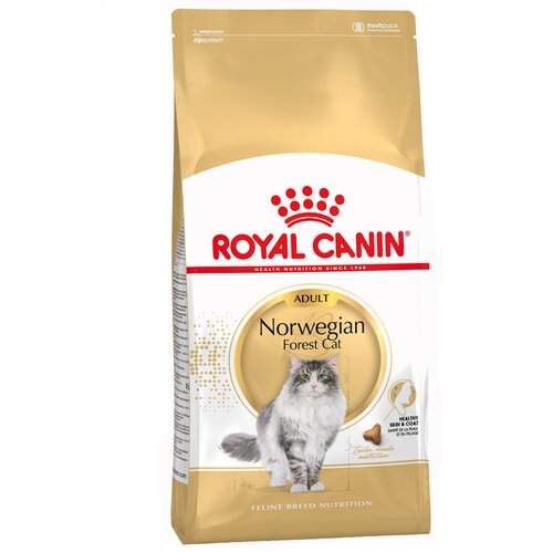 Royal Canin Norwegian Forest Cat - 10 kg Slike
