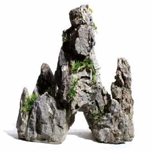 Aquadeco china mountain - 48 - 52 cm Cene