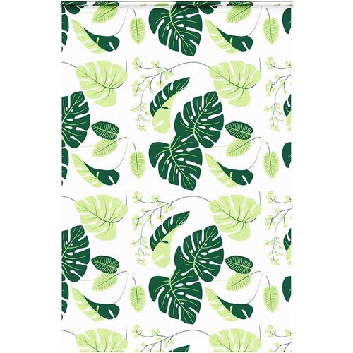 Rolo zavjesa za tuš s kazetom 160x240 cm širina tkanine 156 cm Cijene