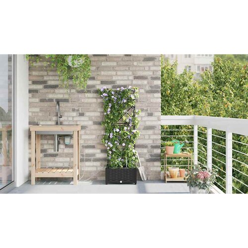  Vrtna saksija Crna 40 x 40 x 126 cm Plastika Slike