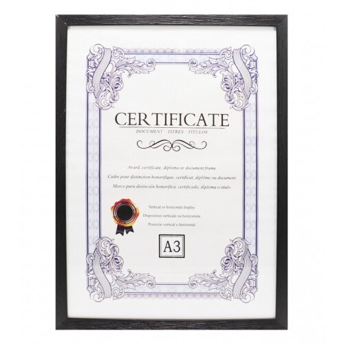 Master Ram za sliku A3 01210580 Cijene