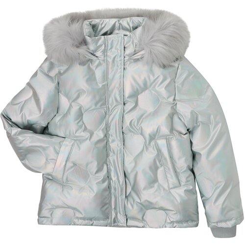 Desigual Puhovke TIERRA Srebrna Slike