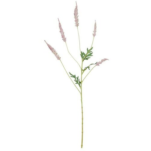  Umetna rastlina Astilba (Vi&amp;scaron;ina: 81 cm, Roza, Plastika) Slike