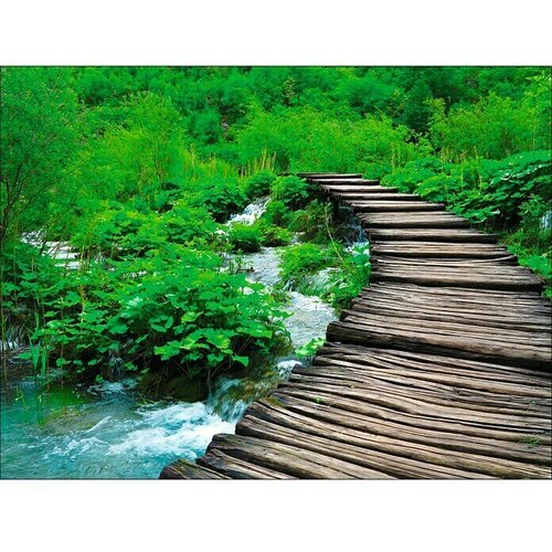  Slika na platnu Young Living (&amp;Scaron; x V: 120 x 90 cm) Slike