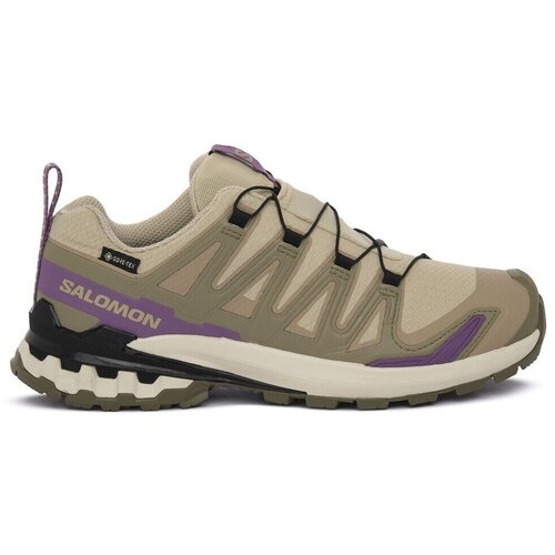 Salomon Nizke superge XA Pro 3D V9 GTX pisana Cene