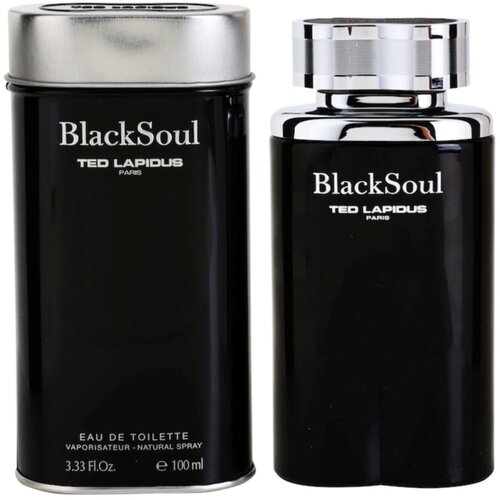 Ted Lapidus Black Soul toaletna voda za moške 100 ml Cene