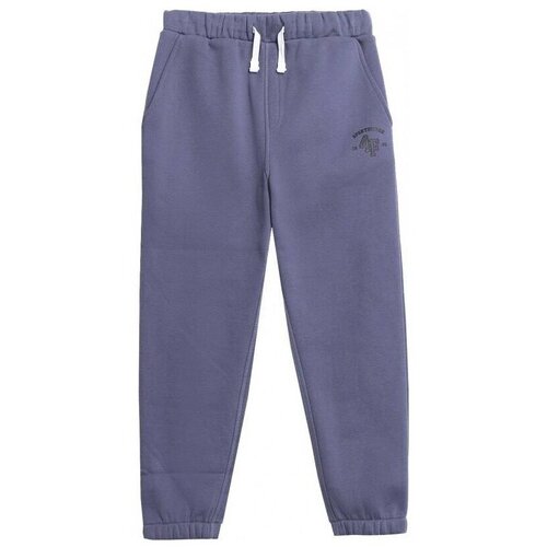 4f Spodnji deli trenirke Denim Vijolična Slike