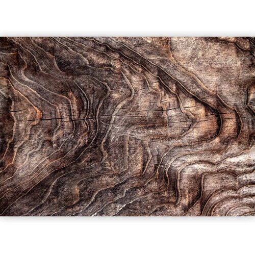  Foto tapeta - Signs of the times - an abstract background with the wrinkled bark of an old tree 200x140 Premium Slike