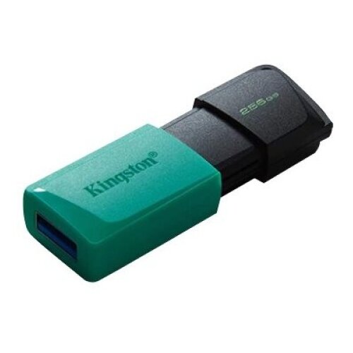 Kingston 256 GB DataTraveler Exodia M Cene
