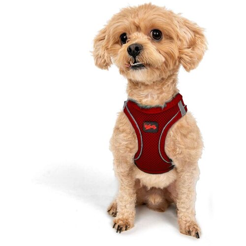 Paws &amp;amp; Whiskers Am za pse Air-Mesh, crvene Slike