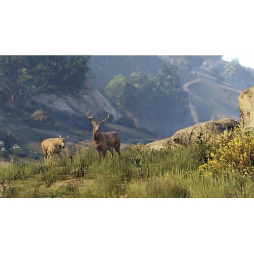 Rockstar Games GTA V PS5 Cene