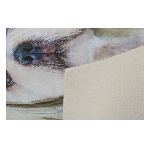Conceptum Hypnose tepih (80 x 120) KHMFESTO008KECE Slike