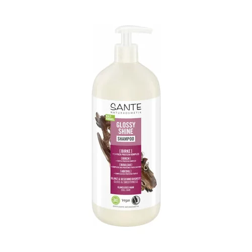 Sante Glossy Shine Shampoo - 950 ml