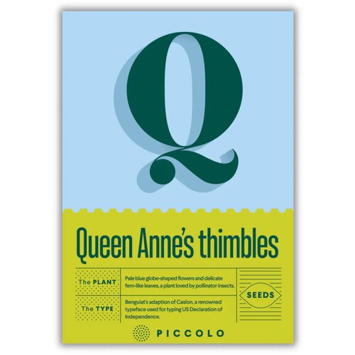 Piccolo Seeds Q - Queen Anne’s thimbles - glavičasta gilija - 1 pkt. Cene