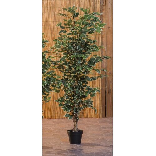  EUKALIPTUS 150CM 60270 Cene