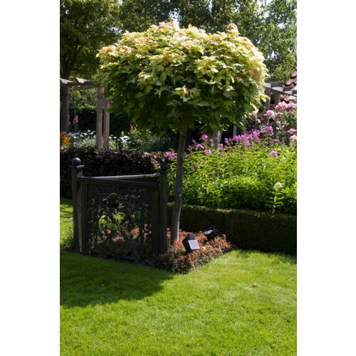 Luxform lazise AYR solarna svetiljka 5 lm Cene