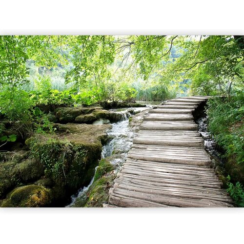  Foto tapeta - Forest path 245x175 Slike