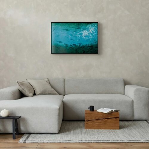  Plakat - Group of Dark Fish 60x40 Crni okvir Slike