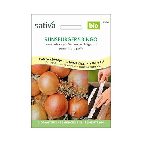 Sativa Semena čebule, Rijnsburger 5 Bingo semenski trak Cene
