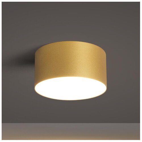 Brilagi LED spolja&amp;scaron;nje stropno svetlo FORIS LED/14W/230V prečnik 12 cm zlatna IP4 Slike