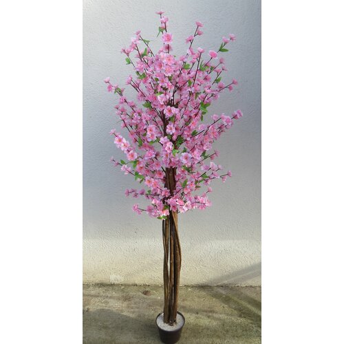 Lilium dekorativno stablo trešnje 165cm 877826 Cene