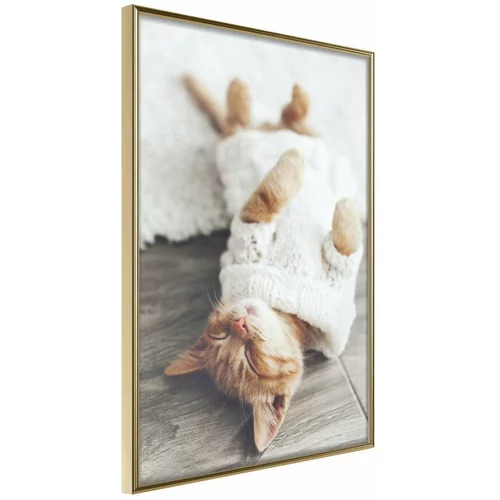  Poster - Kitten Life 40x60