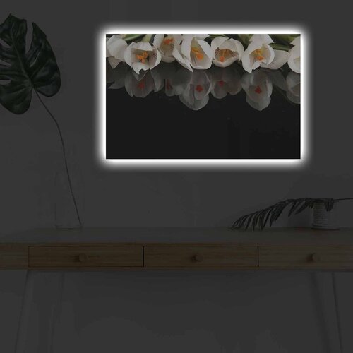 Wallity Slika sa LED osvetljenjem 4570DHDACT-079, 45x70 cm Cene
