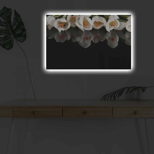 Wallity Zidna slika sa LED osvjetljenjem 4570DHDACT-079, 45x70 cm Cene