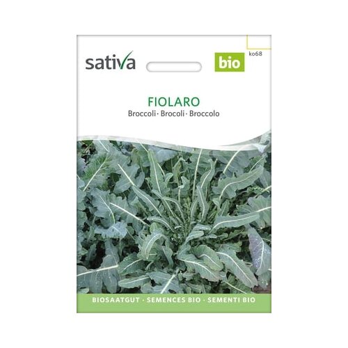 Sativa Bio brokoli “Fiolaro” Cene
