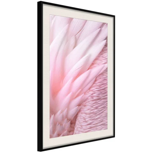  Poster - Pink Feathers 30x45